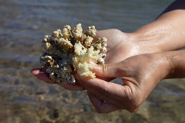 Natural coral in hands on the background of sea water. © Kira0Kirina