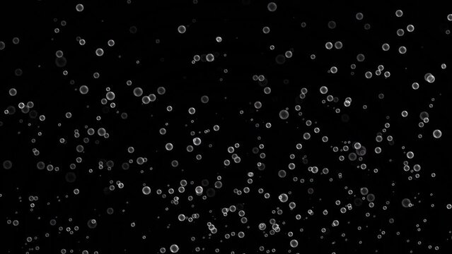 rising water bubbles on black background