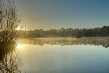 Horizontal view on a lake Groot Goorven in Oisterwijk with haze, trees on the horizon and reflections in the water during sunrise in winter. Golden hour landscape with copy space