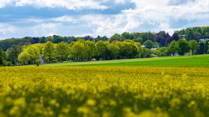 Landschafts-Panorama 