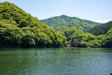 Obraz premium Bridge