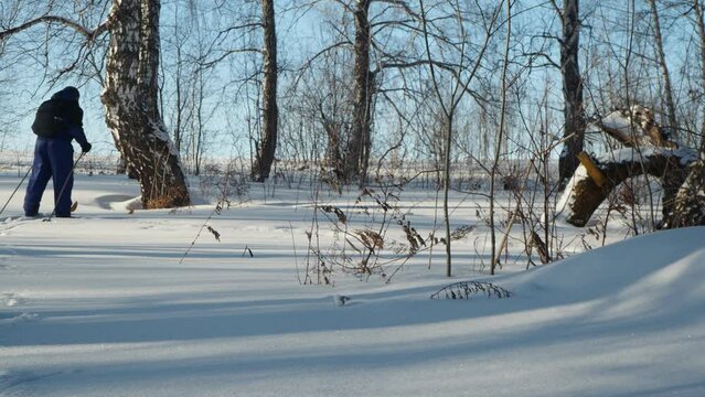 Ski Trip. A Man In A Blue Jumpsuit Is Skiing In The Snow In A Winter Forest. Siberia.