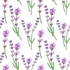 Seamless background, lavender flowers painted in watercolor
