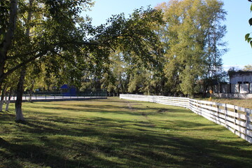 view of the park