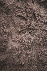 Mud ground texture