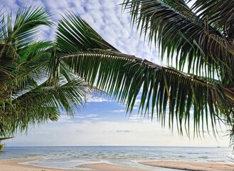 beautiful golden sand beach sunrise fresh sea breeze summer vacation with green coconut leaves tree. blue sky and warm sun light;