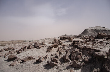 The dry arid desert landscape of the Moon Valley in Argentina