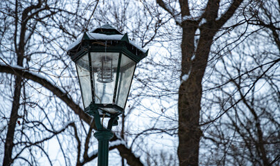 Street Lamp in the Winter