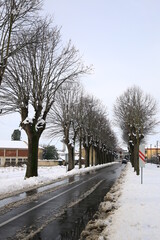 Viale innevato