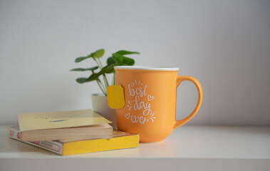 Tasse de thé jaune, plante verte et livres sur fond blanc