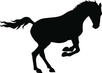 Fototapeta na wymiar Galloping horse Silhouette - Isolated on white background