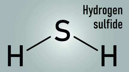 Hydrogen sulfide H2S molecule. Toxic gas with characteristic odor of rotten eggs. Skeletal formula.