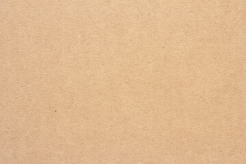 Fototapeta na wymiar A sheet of brown cardboard. Paper natural texture.