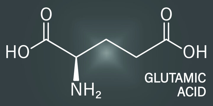 Glutamic acid or l-glutamic acid, Glu, E, amino acid and neurotransmitter molecule. Skeletal formula.