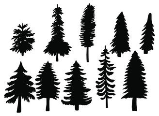 Fototapeta premium illustration with ten fir silhouettes isolated on white background