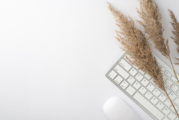 Top view photo of workspace keyboard and reed flowers on isolated white background with blank space