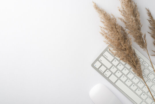 Top view photo of workspace keyboard and reed flowers on isolated white background with blank space