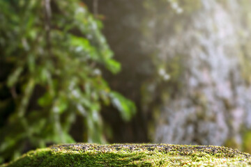 outdoor mockup copy space for environmentally friendly products in the forest. the pedestal made of...