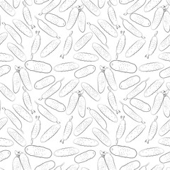 A set of seamless background. Vector line art style. Vegetable. Cucumber. Isolated on white background. Black and white version. 1000x1000