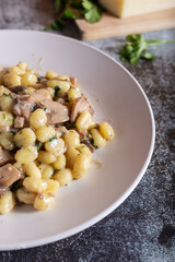 Creamy porcini mushroom gnocchi. Typical dish of Italian cuisine, suitable for a vegetarian diet