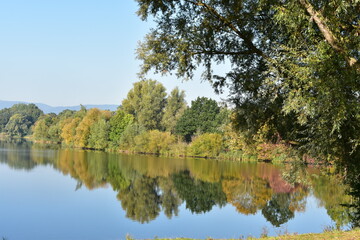 Obraz premium See-Bäume-Spiegelung