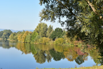 See-Bäume-Spiegelung
