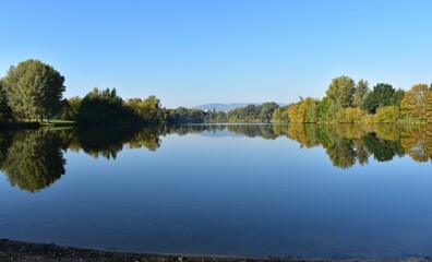 See-Bäume-Spiegelung