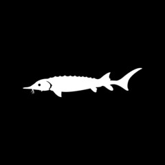 Fish icon vector illustration. Black background