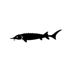 Fish icon vector illustration. Black background