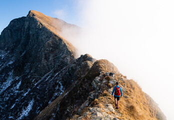 trekking with dog in the Italian alps