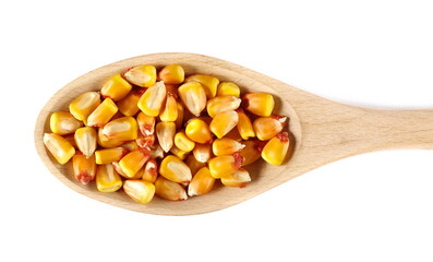 Corn grains, kernels in wooden spoon isolated on white,  top view