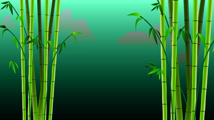 Fototapeta na wymiar the beauty of green bamboo leaves at night