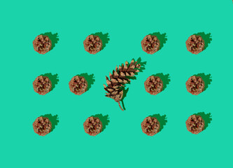 Pine cones lay down on pastel green background. Seamless pattern, horizontal minimal composition, nature forest concept