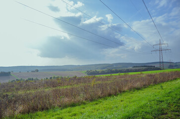 Wild wood Feld texture aged in Germany
