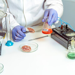 Food safety inspector working in laboratory. Healthy food concept.