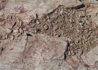 wood texture