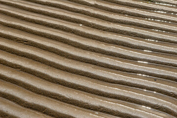 Ridges in Sand