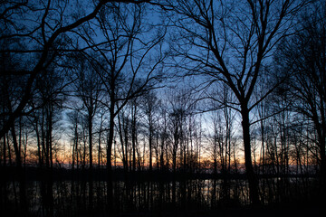 Fototapeta na wymiar sunset over the forest and lake