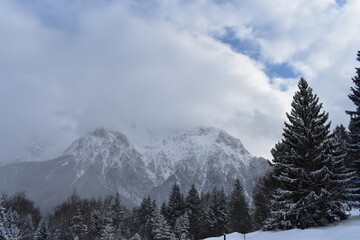 Fototapeta na wymiar Alpen-Wälder-Winter