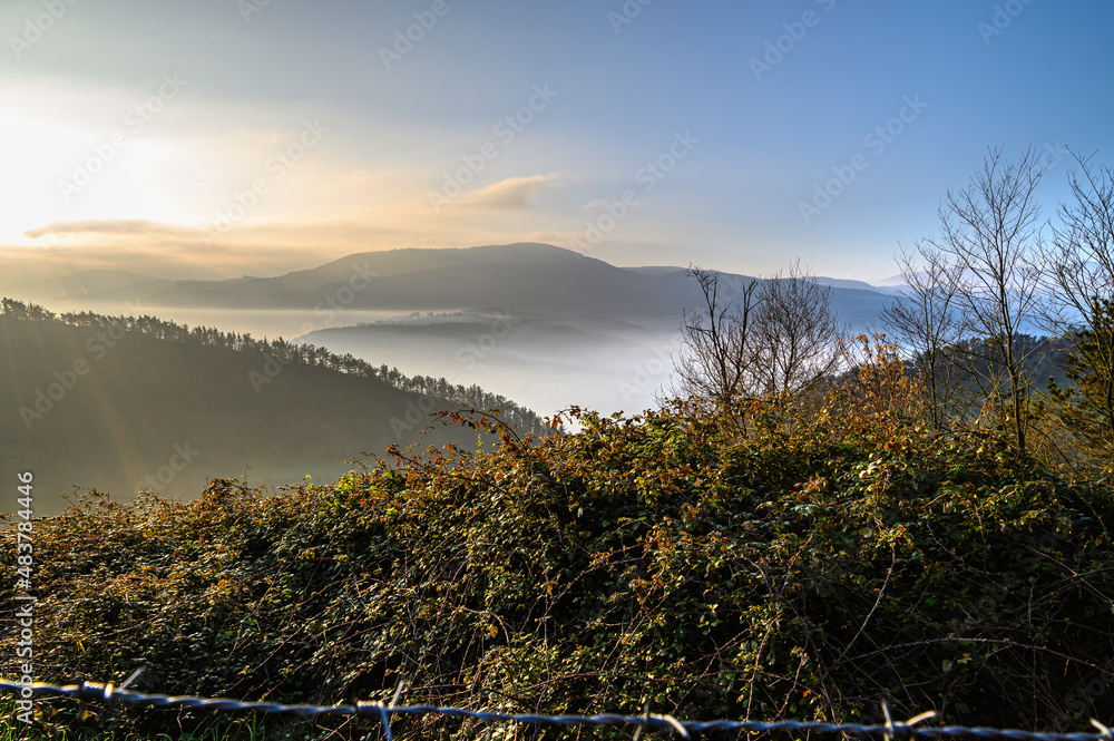 Wall mural Monte Igeldo, Orio, Spain,  Landscape with fog among the distant mountains one morning at dawn, in front the dry branches of the trees on a winter morning.