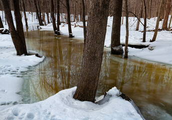 538-96 Ice, Snow and Reflection Patterns on Spring Creek