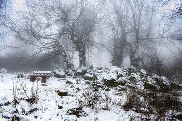 Fototapeta premium Winter