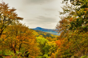 Fototapeta premium Wälder, Herbst