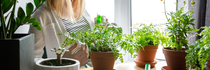 Garden,gardening home. Girl replanting green pasture in home garden.agriculture,indoor garden,room...