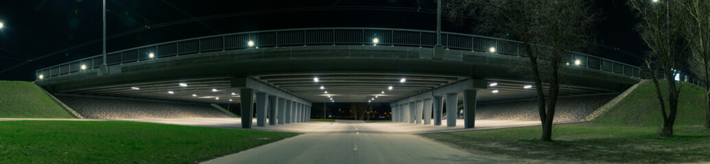 Panoramic view of the bridge at night, RIga, Latvia - obrazy, fototapety, plakaty