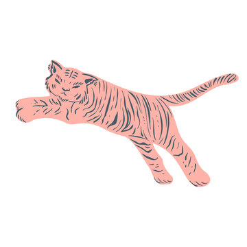 Isolated vector illustration design of a lined abstract cute orange tiger