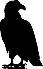 Eagle EPS, Eagle Silhouette, Eagle Vector, Eagle Cut File, Eagle Vector