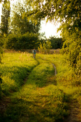 Happy childhood. A beautiful teenage boy rides a bicycle in the countryside path. Nature green summer meadow background. Active kid, child afar. Vertical. Sport concept