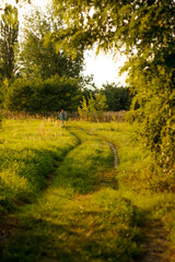 Happy childhood. A beautiful teenage boy rides a bicycle in the countryside path. Nature green summer meadow background. Active kid, child afar. Vertical. Outside