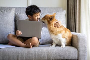 Asian boy study online with his dog